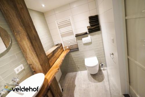 a small bathroom with a toilet and a sink at 't Veldehof in Domburg