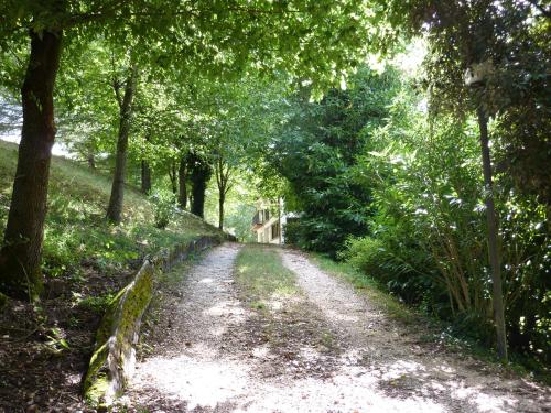 a dirt road with trees on both sides at La Rocca in Narni