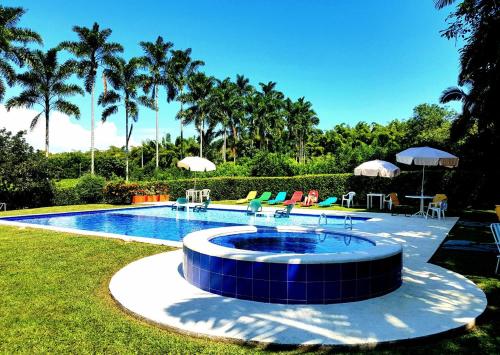 een zwembad in een tuin met palmbomen bij Alojamiento rural el Refugio en santagueda in Santagueda