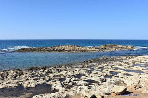 a rocky beach with the ocean in the background at Siesta in Achziv in Nahariyya