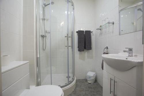 a bathroom with a shower and a toilet and a sink at Globe Inn in Tamworth