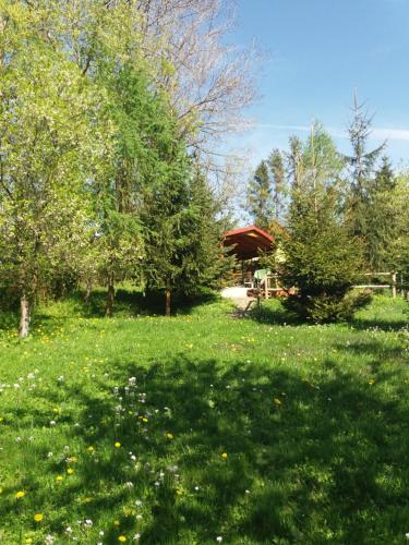 a field of green grass with trees and a house at Domek u Piotra koło Szczyrku in Kalna