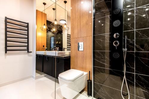ポズナンにあるSuper-Apartamenty Exclusiveのバスルーム(トイレ、洗面台、シャワー付)