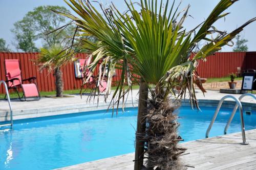 Poolen vid eller i närheten av Natursköna Gamlegård på Ön Ven