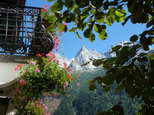 a view of the mountains from a balcony with flowers at Hotel Du Clocher in Chamonix