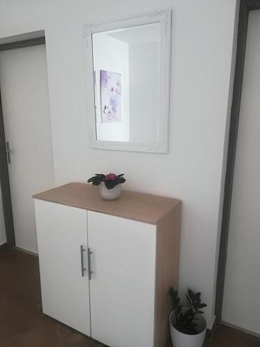 Apartman Franc