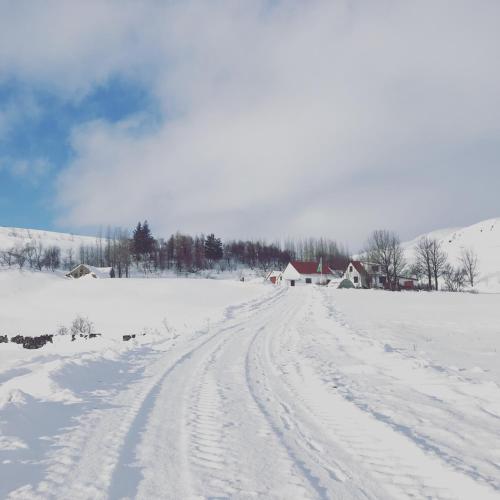 Dalshöfdi Guesthouse en invierno