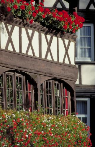 a window of a building with red geraniums at Novotel Strasbourg Centre Halles in Strasbourg