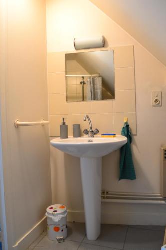 ein Bad mit einem Waschbecken und einem Spiegel in der Unterkunft L'escapade tannaysienne in Tannay