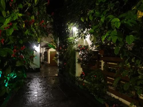 an alley with flowers and plants at night at Pousada Doce Paraty in Paraty