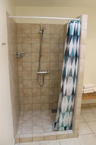 a shower with a shower curtain in a bathroom at Odense Apartments in Odense