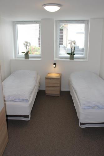 two beds in a room with two windows at Odense Apartments in Odense