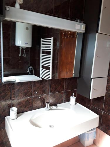 a bathroom with a sink and a mirror at Apartman Petra & Tena in Slunj