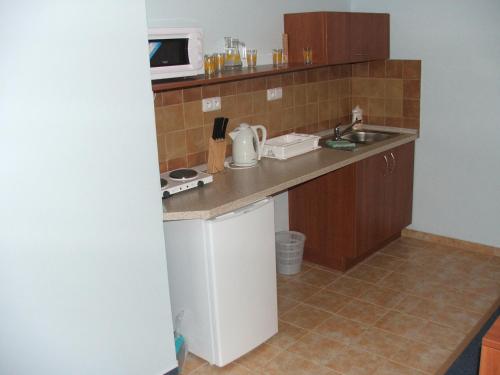 a small kitchen with a sink and a microwave at Ala ubytovani in Josefuv dul