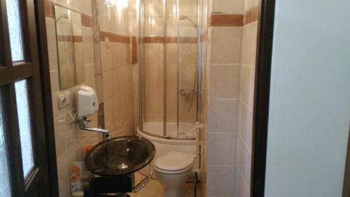 a small bathroom with a toilet and a shower at Z prywatnym ogródkiem Centrum in Jelenia Góra