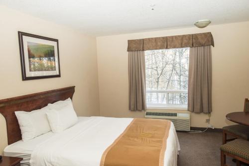 Cama o camas de una habitación en Lakeview Inns & Suites - Chetwynd