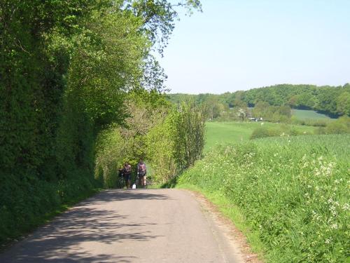 WesterholzにあるFördefarm-Naturaの未舗装道路を歩く人々