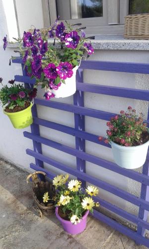 a bunch of flowers in pots on a wall at Alma Bed & Breakfast in Sennariolo