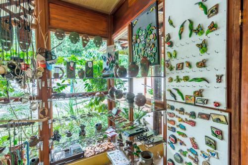 a room with a wall filled with lots of vases at Ara Ambigua Lodge in Sarapiquí