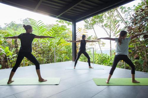a group of people doing yoga in a room at Mashpi Lodge in Pacto