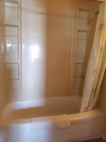 a bathroom with a bath tub with a shower curtain at Melsask Motel in Melville