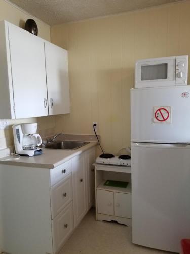 a kitchen with a white refrigerator and a sink at Melsask Motel in Melville