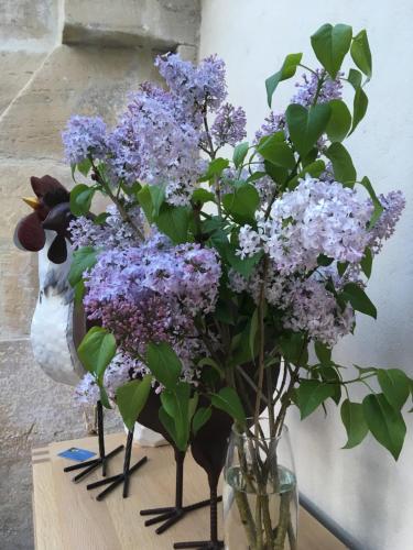 two vases filled with purple flowers on a table at Le mas Normand in Ver-sur-Mer