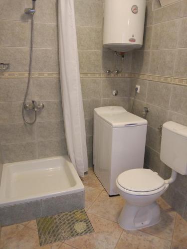 a bathroom with a toilet and a shower and a tub at Apartmani Natasa in Vantačići