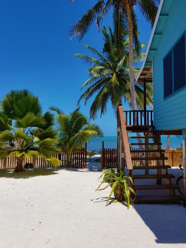a house on the beach with palm trees and the ocean at Carolyn's House in Caye Caulker