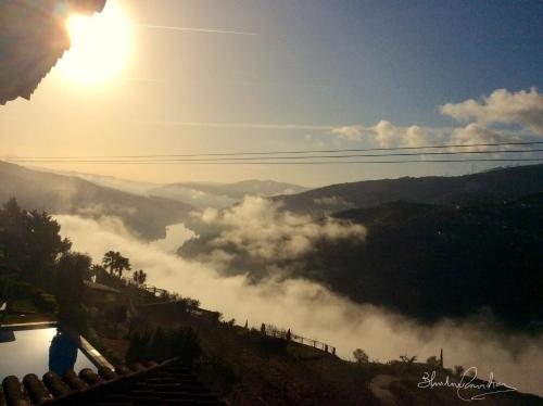 a view of a river with the sun in the sky at Casa De Canilhas in Mesão Frio