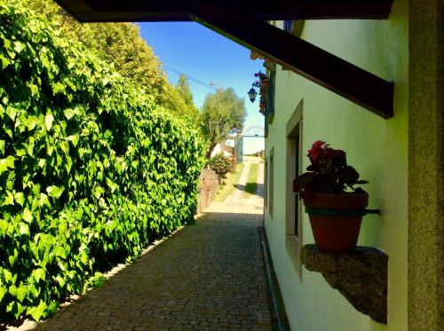 a small alley with a potted plant on the side of a building at Casa De Canilhas in Mesão Frio