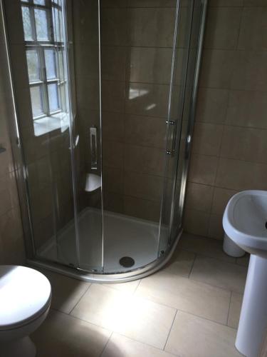 La salle de bains est pourvue d'une douche, de toilettes et d'un lavabo. dans l'établissement Dunguaire Thatched Cottages, à Galway