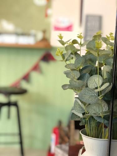a green plant in a white pot on a table at Yo Muma Homestay in T'ien-wei