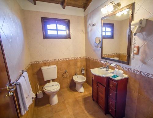 a bathroom with a toilet and a sink and a mirror at Hosteria Sirenuse in Mar del Plata