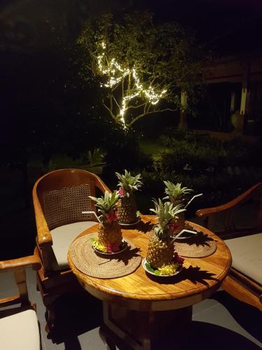 a wooden table with plants on it with lights at Villa Campi Sorga in Senggigi 