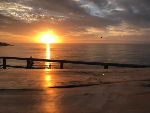 a sunset over the ocean with two birds flying at Hostal Quiriyuca Sur in Horcón