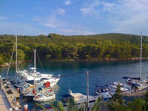 a bunch of boats are docked in a harbor at Molat Bay View in Molat