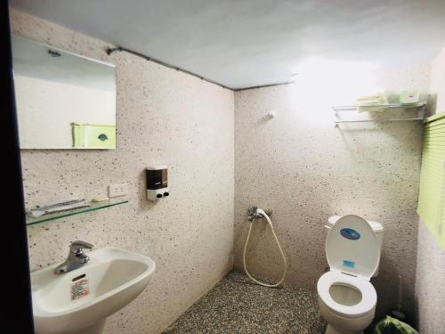 een badkamer met een wastafel, een toilet en een spiegel bij Zhongxing Hotel in Tongluo