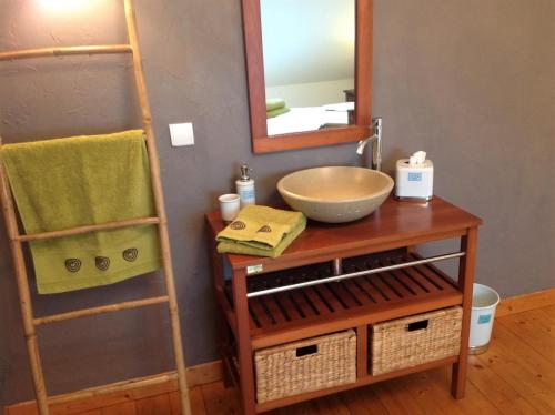 a bathroom with a sink and a mirror at L'Horizon - Domaine du Vertendre in Saint-Yrieix-la-Perche