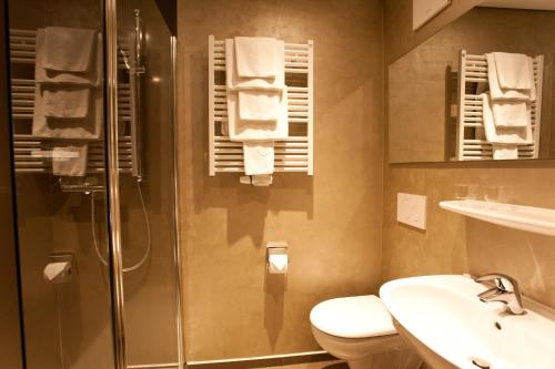 a bathroom with a shower and a toilet and a sink at Pension Sommer in Waldsassen