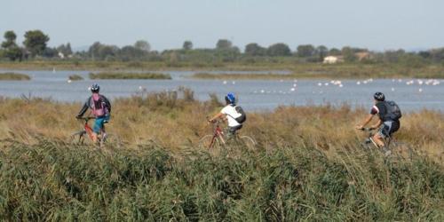 three people riding bikes in a field near a body of water at Hôtel Café Miramar in Le Grau-du-Roi