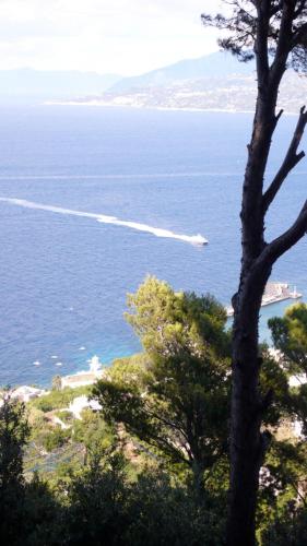 a view of the ocean with a boat in the water at La Casa nel Bosco in Capri