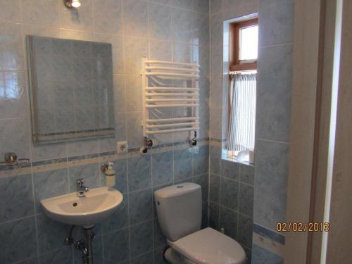 a bathroom with a toilet and a sink at Guesthouse Storu-Laugar in Laugar