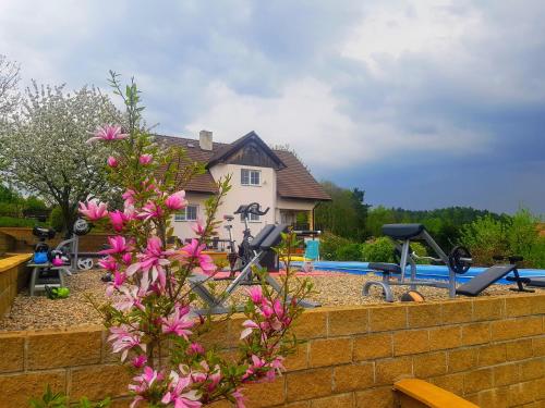 a house with a yard with a swimming pool and a house at Vila na Skalce in Česká Kamenice