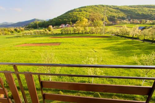 a bench overlooking a green field with a hill in the background at Apartman Karlo in Otočac