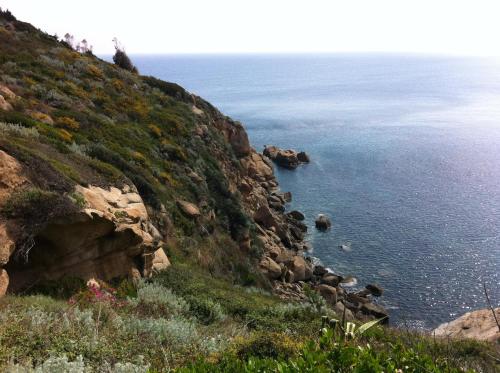 a view of the ocean from a cliff at Campese Apartments in Campese