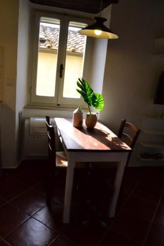 a table with a potted plant on it in front of a window at Casa Messi in Pitigliano