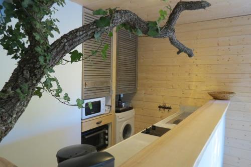 a tree limb hangs over a counter in a kitchen with a sink at Le gite du grand cèdre - proche des gorges du Verdon in Allemagne-en-Provence