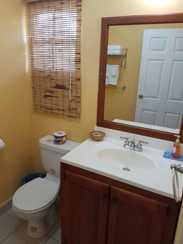 a bathroom with a toilet and a sink and a mirror at Piarco Village Suites in Piarco