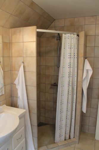 a shower with a shower curtain in a bathroom at Amalie Bed and Breakfast & Apartments in Odense